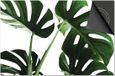 Dietrix Inductie Beschermer 65x52 cm - Bloemen en Planten - Monstera Licht