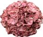 Buitengewoon Boet Buitengewoon de Boet Kunst hortensia tak oudroze 92 cm