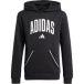 Adidas Junior Hoodie Essentials Collegiate Typography
