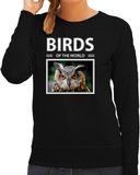 Bellatio Decorations Birds of the World Uil foto sweater zwart dames XS
