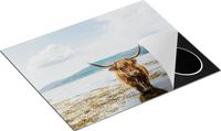 Chefcare Inductie Beschermer Schotse Hooglander Koe in het Water - 65x55 cm - Multicolor