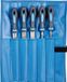 PFERD Werkplaatsvijlenset in pvc-roltas, 5 vijlen, kruiskop H2, 250 mm, 11800542