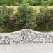 Maison Exclusive - Gabions avec arc haut 15 pcs. 200x50x40/60 cm Fer galvanisé