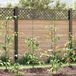 vidaXL Plantondersteuning 5 st groen 150 x 0,6 x 0,6 cm staal