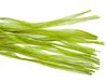 Slijerband circa 200 g, appelgroen