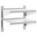 vidaXL Wandschap - 2-laags - 50x40x48 cm - Roestvrijstaal - Zilverkleurig