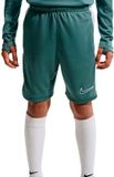 Nike Academy Voetbalbroek JR Groen Maat 152