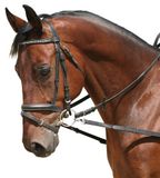 Trekhaken PFIFF Trekhaken zonder rubberen inzetstuk, zwarte pony