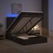 vidaXL Lit plateforme avec matelas et LED Marron foncé 120 x 190 cm Tissu