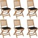Acaciahout Fauteuils pliants 6 pc avec coussins