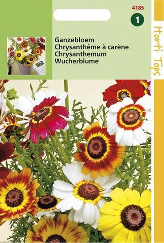 Hortitops Chrysanthemum Carinatum Gemengd Bloemzaad