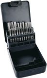 Topex - Schroefdraad Taps Set - 21-delig - M3-M12 - Tungsten Staal