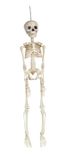 RUBIE'S Skelet, scharnier, 45 cm, van pvc