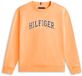 Tommy Hilfiger Kids Sweater Katoen/Polyester Unisex Maat 4