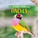 Finches Feathered Friends- Finches Hardcover