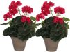 Mica Decorations Kunstplant - 2x - geranium - rood - in pot - 34 cm