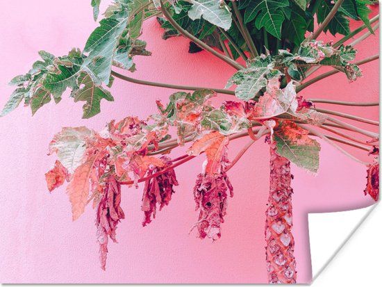 PosterMonkey Poster Palm Tree - Tropical - Pink - Summer - 120x90 cm
