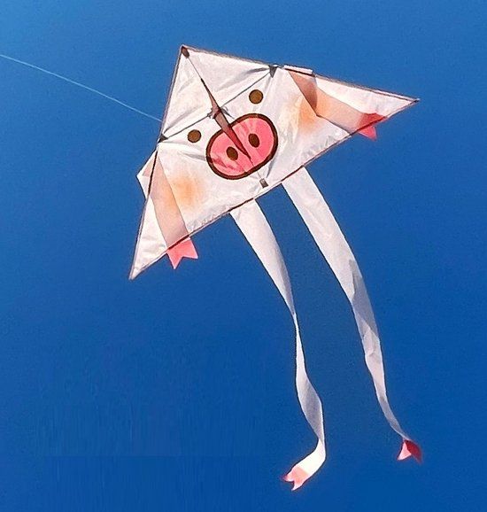 Merkloos / Sans marque Vlieger Varken Roze Kinderen Kinderspeelgoed