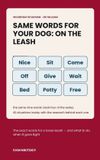 Same Words for Your Dog: On the Leash: Reward-Based Training for Walking Without Pulling
