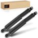 Frankberg 2 x gasveren achterklep compatibel met 5 E39 520 523 525 528 530 535 540 stationwagen 1997-2004 vervanging # 51248220072