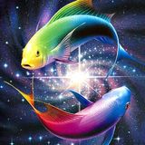 VDTOYS Diamond Painting - VDTV011 - Vierkante Steentjes - Groot Formaat - Vis - 45x45cm