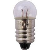 Quadrios 22O183 Lampe de vélo 4.8 V 2.4 W Douille E10 Blanc 1 pièce(s)