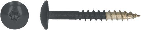 pgb-Europe PGB-FASTENERS HPL schroef Tx20 4,8x25 R7016 A4