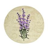 Badmat Icecat Badmat met lavendel