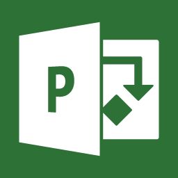 Microsoft Project Professional 2019 - 1 licentie - Duits