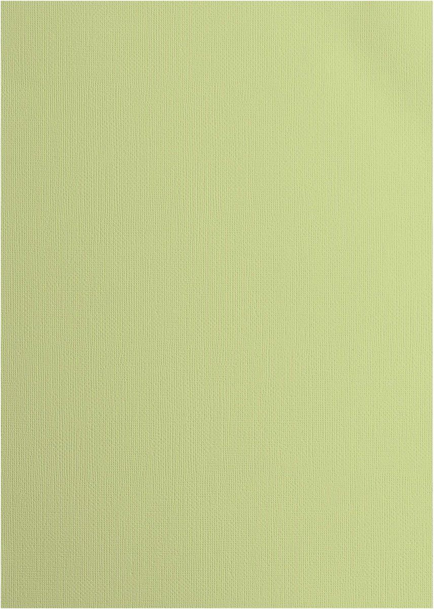 Florence Cardstock Papier Texture A4 Anise - 8716052221769