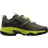 Helly Hansen Ridgeflyer Ql Schoenen Groen EU 40 Man