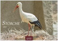 Störche Casares Fine Art Edition Störche Kalender 2027 - Wandkalender | Fotokalender Tierkalender 35x50cm Grosses Format - Inspirierende Storch-Motive für Natur- und Tierkalenderliebhaber.