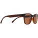 Red Bull Spect Eyewear Emery zonnebril, Shiny Havanna, S/M, Shiny Havanna