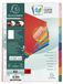 Exacompta - ref. 2210E - Glanskartonnen tabbladen 225g/m2 FSC® met 10 kleurneutrale tabs - versterkt en gelamineerd - versterkte perforatiestrook - Formaat A4