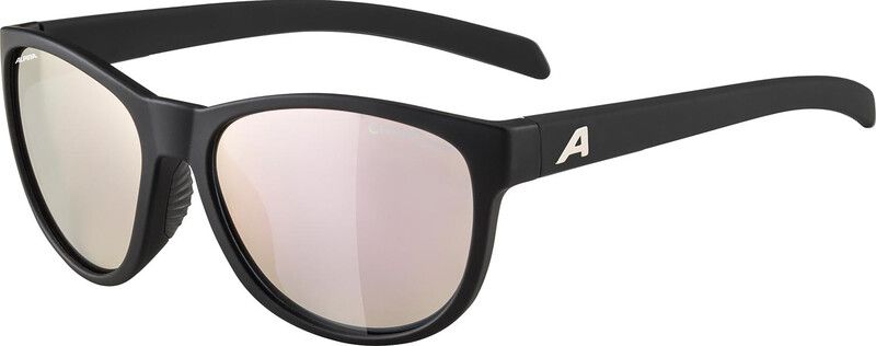 Alpina Nacan II - Zonnebril - Zwart