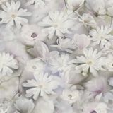 A.S. Création PintWalls 387223 vliesbehang Floral 10,05 x 0,53 m Made in Germany