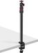 NEEWER Bureauhouder voor camera, met kogelkop, 42 cm-100 cm, verstelbaar tafellichtstatief met 1/4 inch schroef en C-klem voor DSLR-camera, ringlicht, live stream, vlog, maximale belasting: 3 kg