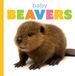 Baby Libri GmbH Starting Out: Baby Animals- Baby Beavers