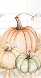 IHR Ideal Home Range - Pumpkin Trio papieren servetten, 33 x 42 cm, 16 stuks