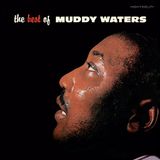The Muddy Waters The Best of Muddy Waters - Coloured Vinyl