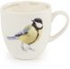 Cj wildbird CJ Wildlife Mok Koolmees