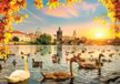 Magnolia Puzzle Swans near Charles Bridge - 1000 pièces puzzle