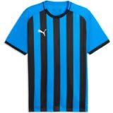 teamLIGA26 Puma teamLIGA26 Gestreepte Jersey