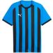 teamLIGA26 Puma teamLIGA26 Gestreepte Jersey