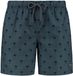 Shiwi The Sunshine Brand zwemshort Palm groen