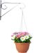 PLASTICFORTE Pot suspendu + Crochet mural Cuneo - terre cuite - D25 cm - plastique