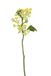 12 Express Flor 4 kunstmatige seringen, 33 cm, geel