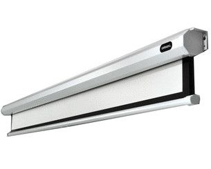 Celexon Economy projectiescherm - 300 x 300 cm - 1:1 - Handmatig