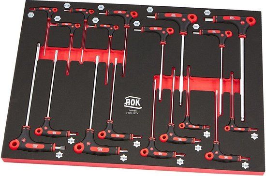 AOK Professionele 18-delige T-grepen Foam Inlay