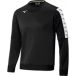 Mizuno Sweatshirt Nara Training